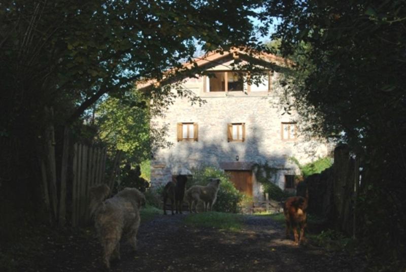 Casa Rural Haitzetxea Zugarramurdi Extérieur photo